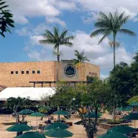 Certificado de graduado