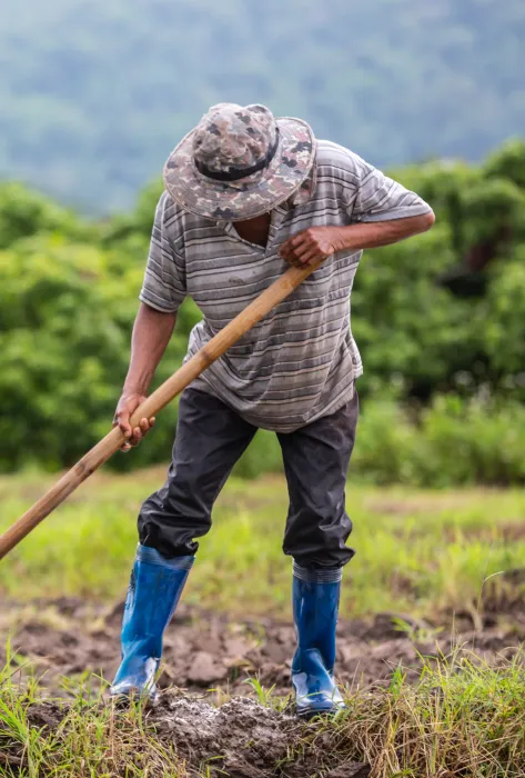 Boletín Conflictos agrarios, conflicto armado e instituciones: relaciones interacciones y causalidades. Boletín Conflictos agrarios, conflicto armado e instituciones: relaciones interacciones y causalidades.
