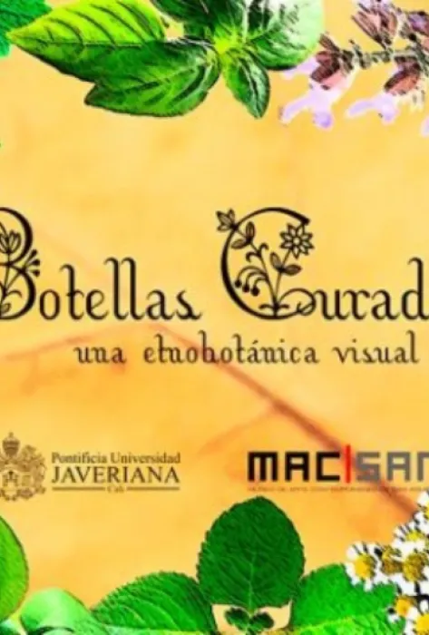 Botellas Curadas: una etnobotánica visual. Incluye DVD Portada botellas curadas